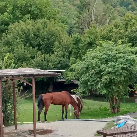 Etno Selo Srna * Kalna