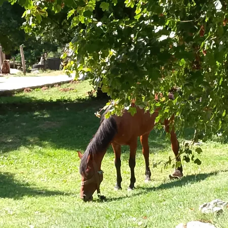 Etno Selo Srna Hotel *